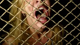 COLLECTION: The new series - Wired Pussy - 18091