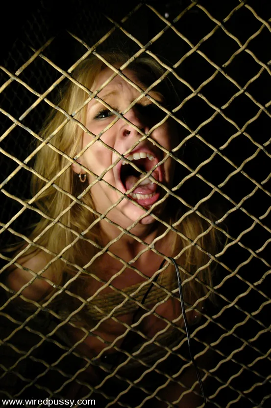 COLLECTION: The new series - Wired Pussy - 18091