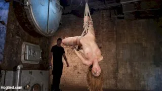 Brutal Ecstasy in Extreme Bondage - Hogtied - 24806