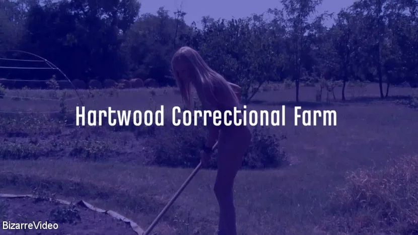 Hartwood Correctional Farm: Jennifer Love, Victoria Blond - Bizarre Video - 25518