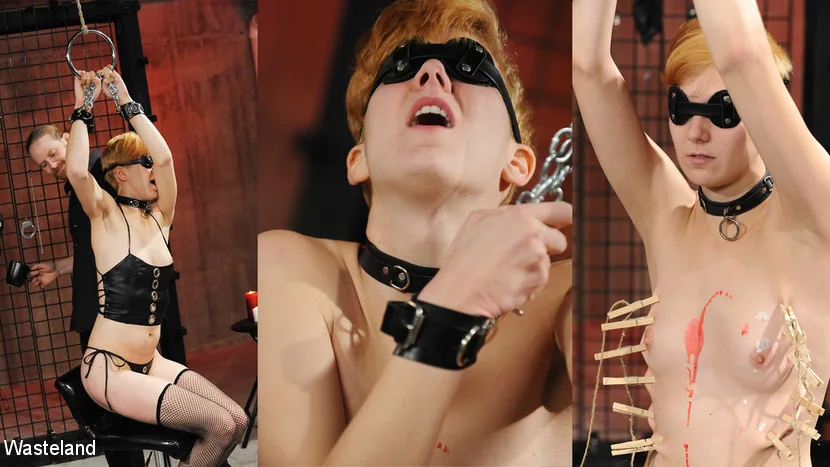 The Ruse - Wasteland - 28538