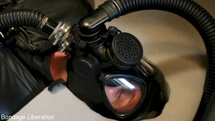 When Elise Met Strange Hobbies - Bondage Liberation - 31388