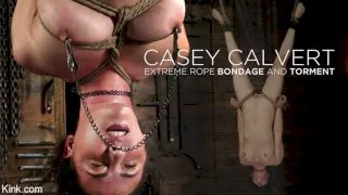 Casey Calvert: Extreme Rope Bondage and Torment - Hogtied - 33416