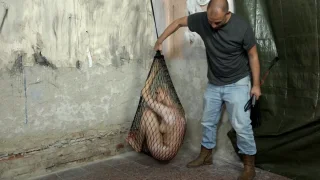 Katy Sky Trying to Escape - Submissed - 35145