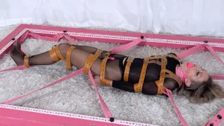 Fell For The Trap - Quality Control - 35346