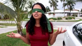 The Surprise - Property Sex - 25110