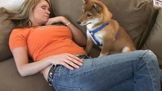 Bridgette Monroe fucking in the couch with her petite - My Friend's Hot Mom - 37183