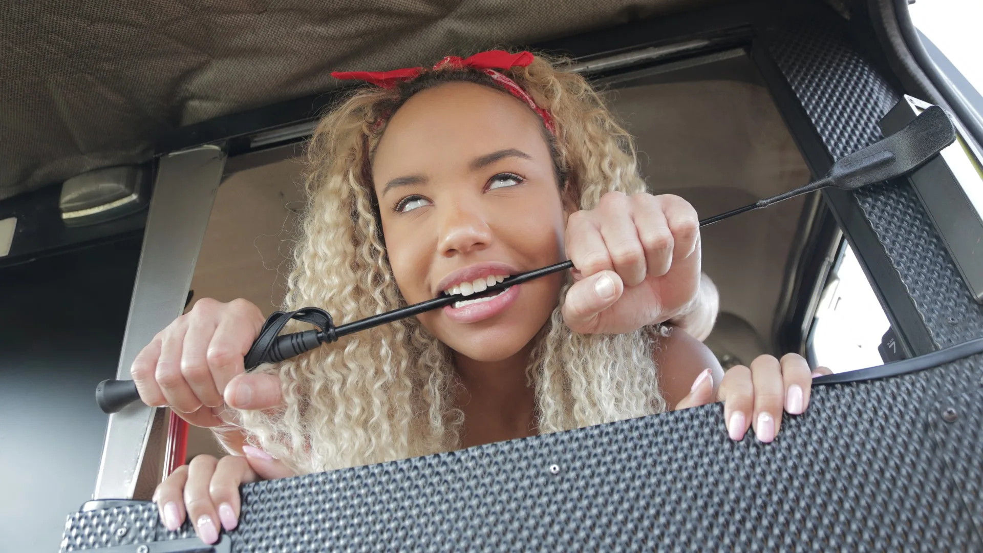 The Dominatrix and the Big D - Fake Taxi - 13182