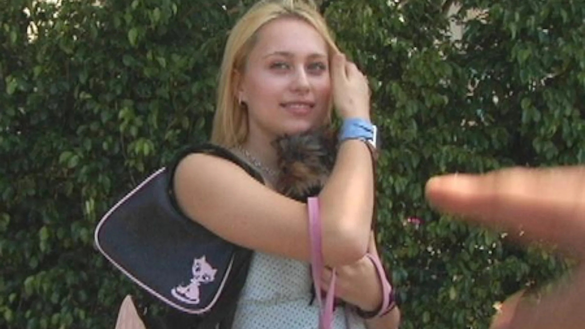 Who DID let the dogs out? - Bang Bus - 15939