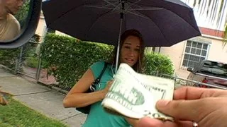 Have You Seen Me - Bang Bus - 16042