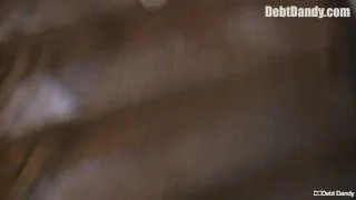 Debt Dandy 41 - [B]IGSTR - 6740