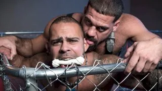 Pups Part 3 - BROMO - 9648