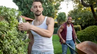 Manscaping - Icon Male - 12613