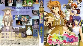 Triangle Heart Ripping Female Dorm - Summer's Setting Sun - - R18 - 4295