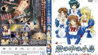 A Small Bird In The Shell The Ultimate Maid Complete Edition - R18 - 4997