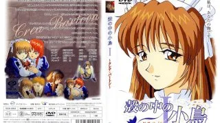 [SEDD-3002] Birds In The Shell I -Claire Burton- - R18 - 6194