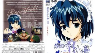 [SEDD-3003] The Little Bird In A Shell II -Ren Yuki- - R18 - 6196