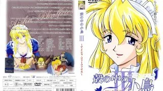 [SEDD-3004] The Little Bird In A Shell III -Aisha Fa-farisu- - R18 - 6198