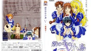 [SEDD-3007] The Little Bird In The Shell V - Final Chapter - - R18 - 6202