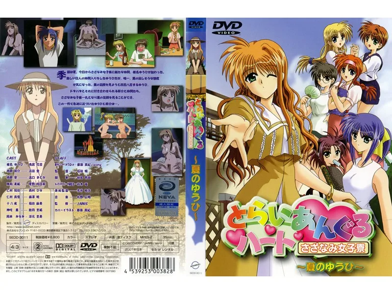 [SEDD-3011] Triangle Heart Ripping Female Dorm - Summer's Setting Sun - - R18 - 6290