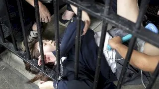 [HAPPYF109] Iori Mochizuki - R18 - 44171