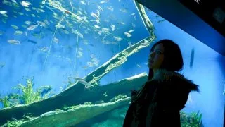 [TOKYO199] Iori - R18 - 55619