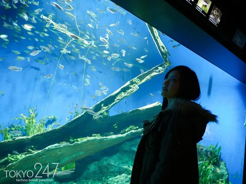 [TOKYO199] Iori - R18 - 55619