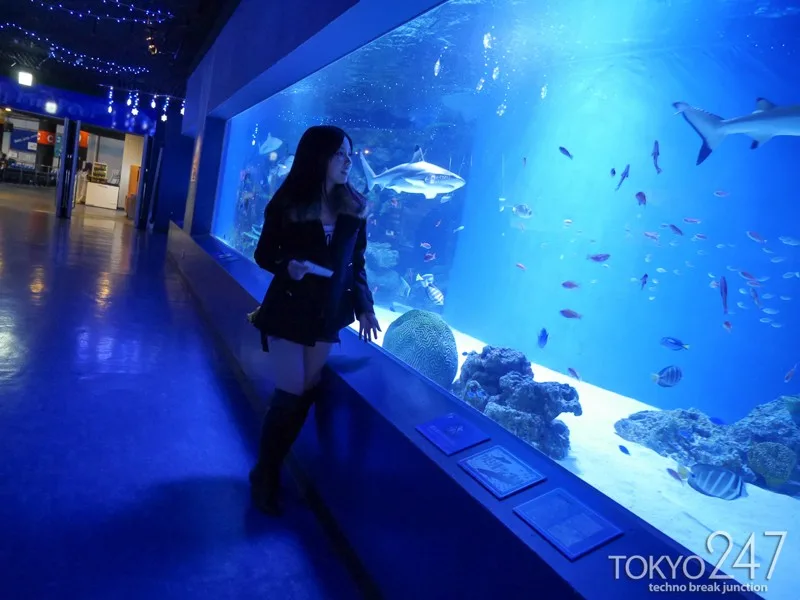 [TOKYO291] Airi - R18 - 65186