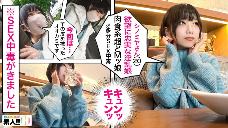 [SGK-013] Shinomiya-chan - R18 - 163241