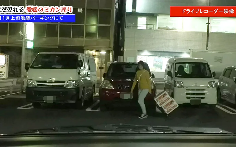 [LADY-386] Mikan - R18 - 169069