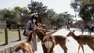 [MYWIFE-568] A Married Woman From Nara - R18 - 170284