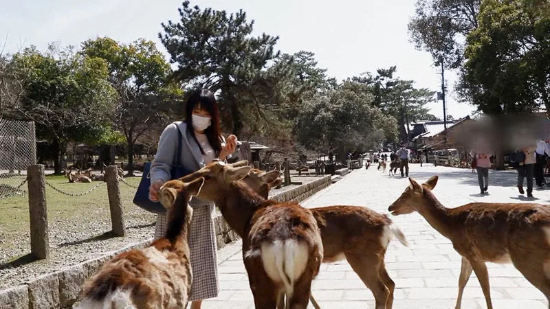 [MYWIFE-568] A Married Woman From Nara - R18 - 170284