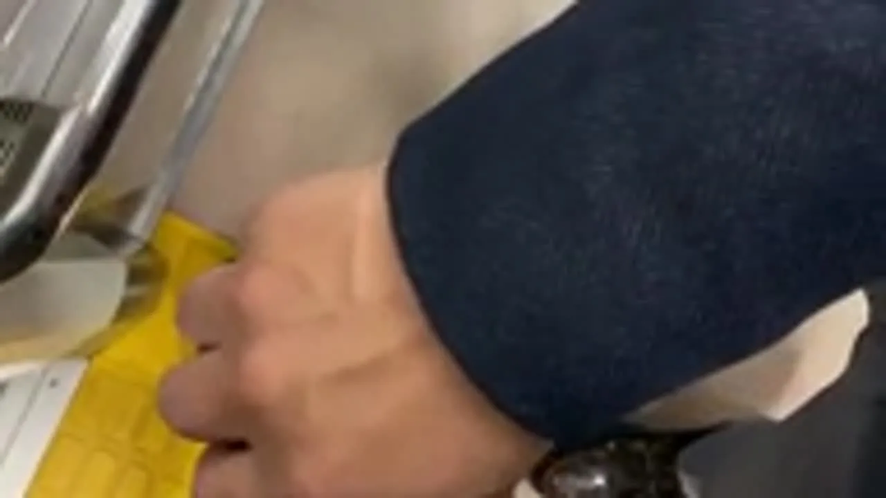 性なる夜の電車 - FC2 Video - 176813