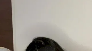 ナマ配信♡ - FC2 Video - 180001