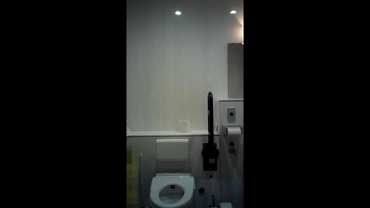 賞味期限3日 美女達の洗面所レポート SS級のキレイ系女子5名を前後から - FC2 Video - 180061