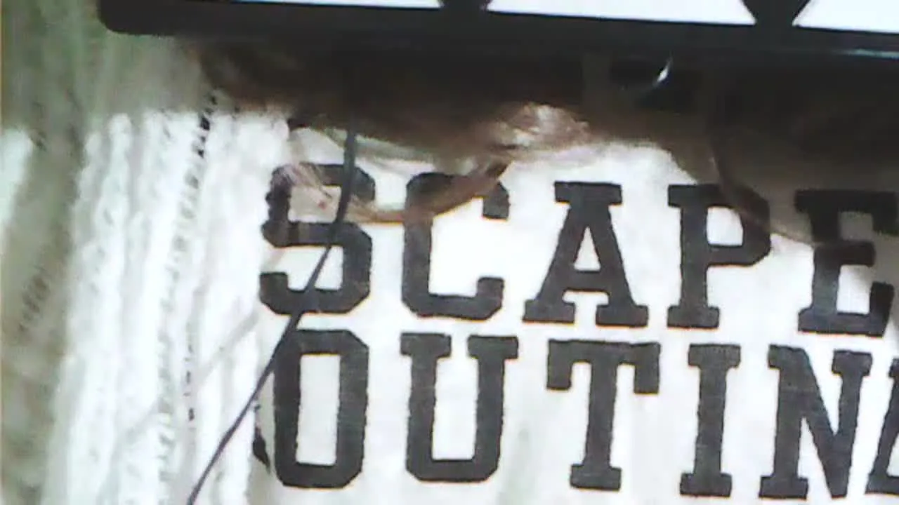 朝帰りからのノリで生ライブ配信開始なう！草(⁠✿⁠ ⁠♡⁠‿⁠♡⁠) - FC2 Video - 182395