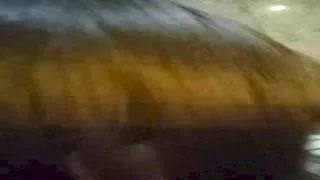 第6回新宿でくそビッチ女装配信。イントー横&大久保公園から生放送。　 - FC2 Video - 195059