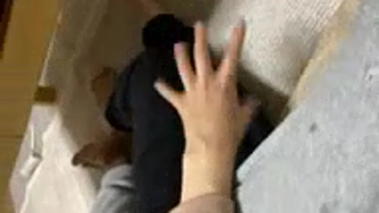 りゅーや&りおのラブラブ配信♡もっと見たい人は最後まで見てね？ - FC2 Video - 204794