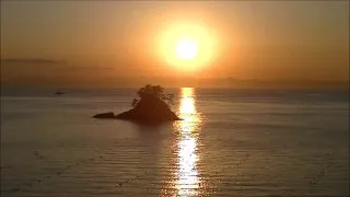 フグ解禁直後の篠島 - FC2 Video - 206849