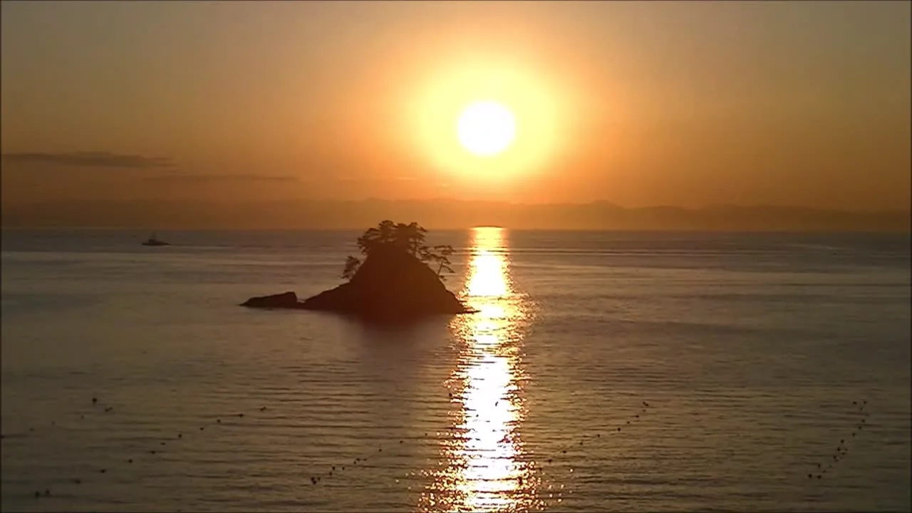 フグ解禁直後の篠島 - FC2 Video - 206849