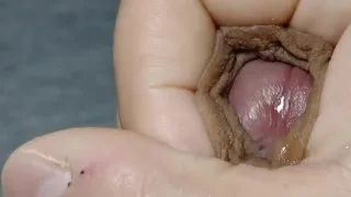 皮オナ 焦らし〜射精 20240129 - FC2 Video - 221276