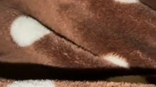 嫁　27歳　垂れ乳　fカップ　寝配信 - FC2 Video - 222129