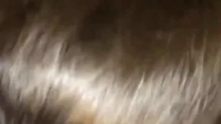 クラブでナンパした**ギャルとゴムなしの生SEX★★限定特典は概要欄★★ - FC2 Video - 227259