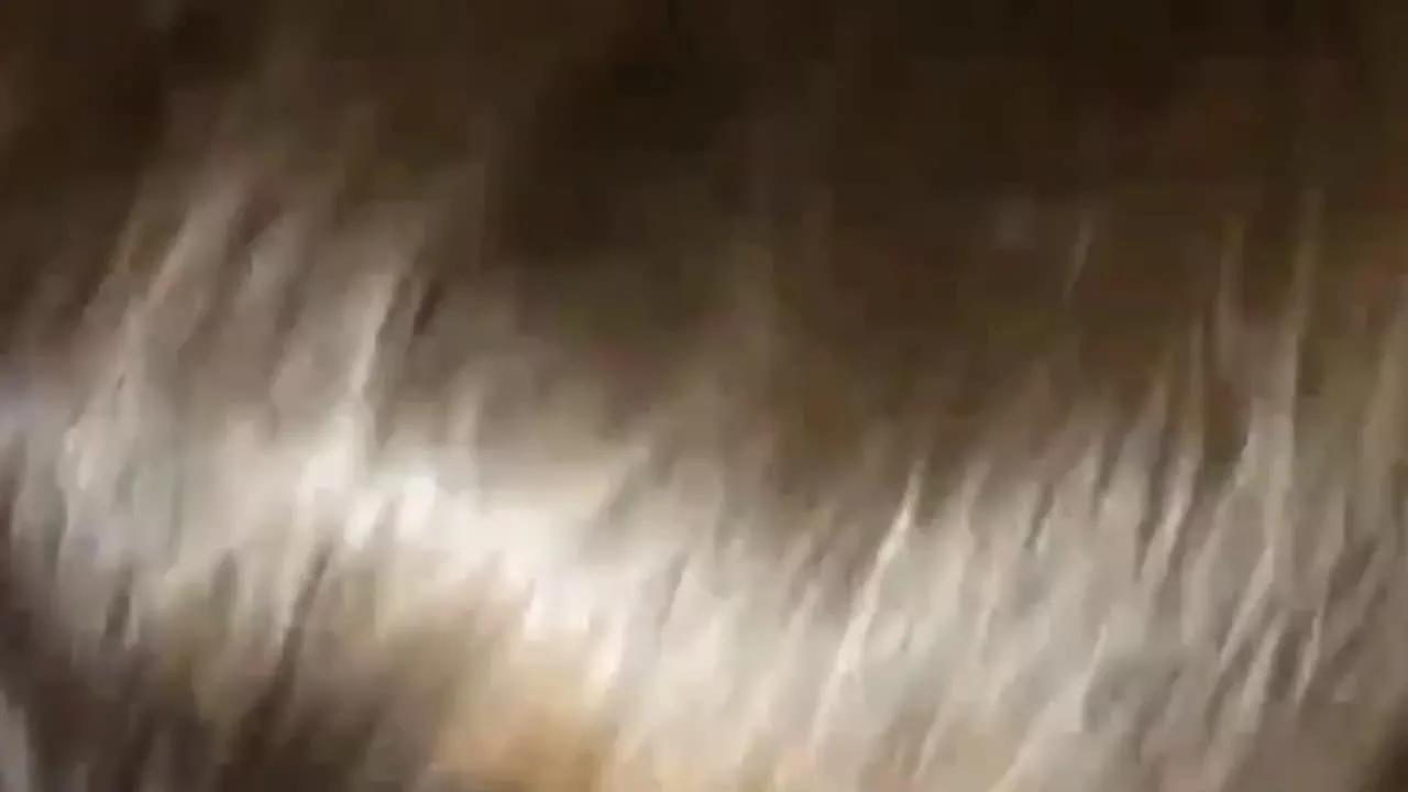 クラブでナンパした**ギャルとゴムなしの生SEX★★限定特典は概要欄★★ - FC2 Video - 227259