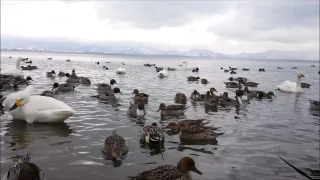 夫婦で混浴めぐり06 - FC2 Video - 230022