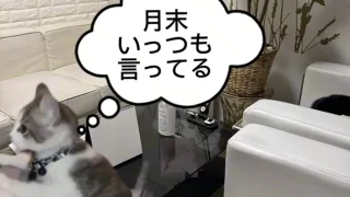 あるデリヘルの日常 - FC2 Video - 232442