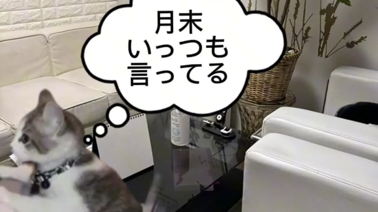 あるデリヘルの日常 - FC2 Video - 232442