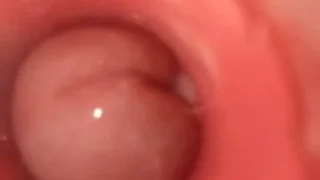 オナホ内部視点&オナホコキ大量射精 20240331 - FC2 Video - 234423