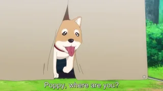 （無）Harem Camp! 1～８ - FC2 Video - 237789