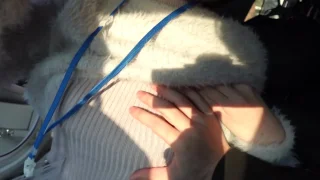 初撮影・顔出し！！3日間限定！！美しい瞳で世の男を誘惑する商社勤めの上品美乳プリ尻キャリアOL・ - FC2 Video - 238063